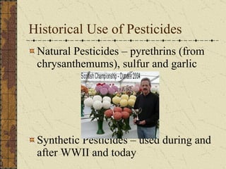 Historical Use of Pesticides Natural Pesticides – pyrethrins (from chrysanthemums), sulfur and garlic Synthetic Pesticides – used during and after WWII and today 