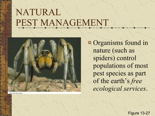 NATURAL  PEST MANAGEMENT Organisms found in nature (such as spiders) control populations of most pest species as part of the earth’s  free ecological services . Figure 13-27 