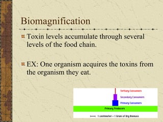 Biomagnification Toxin levels accumulate through several levels of the food chain. EX: One organism acquires the toxins from the organism they eat. 