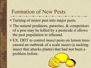 Formation of New Pests Turning of minor pest into major pests. The natural predators, parasites, & competitors of a pest may be killed by a pesticide it allows the pest population to rebound.  EX. DDT to control insect pests on lemon trees caused an outbreak of a scale insect (a sucking insect that attacks plants) that had not been a problem before. 