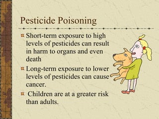 Pesticide Poisoning Short-term exposure to high levels of pesticides can result in harm to organs and even death Long-term exposure to lower levels of pesticides can cause cancer.  Children are at a greater risk than adults. 