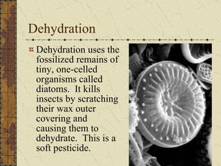 Dehydration Dehydration uses the fossilized remains of tiny, one-celled organisms called diatoms.  It kills insects by scratching their wax outer covering and causing them to dehydrate.  This is a soft pesticide. 