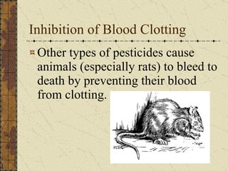 Inhibition of Blood Clotting Other types of pesticides cause animals (especially rats) to bleed to death by preventing their blood from clotting. 