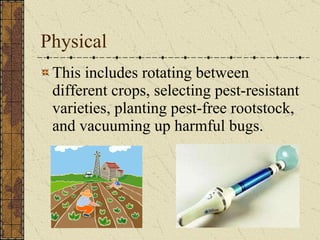 Physical This includes rotating between different crops, selecting pest-resistant varieties, planting pest-free rootstock, and vacuuming up harmful bugs.                                    