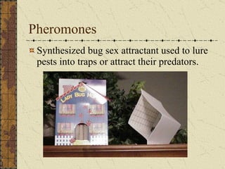 Pheromones Synthesized bug sex attractant used to lure pests into traps or attract their predators. 