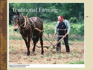Traditional Farming 