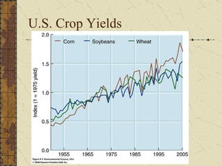 U.S. Crop Yields 