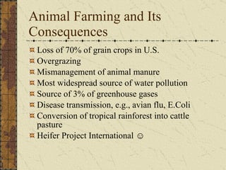 Animal Farming and Its Consequences Loss of 70% of grain crops in U.S. Overgrazing Mismanagement of animal manure Most widespread source of water pollution Source of 3% of greenhouse gases Disease transmission, e.g., avian flu, E.Coli Conversion of tropical rainforest into cattle pasture Heifer Project International  ☺ 