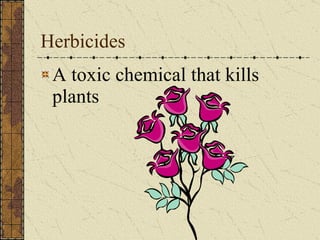 Herbicides A toxic chemical that kills plants 