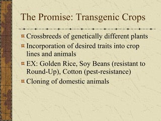 The Promise: Transgenic Crops Crossbreeds of genetically different plants Incorporation of desired traits into crop lines and animals EX: Golden Rice, Soy Beans (resistant to Round-Up), Cotton (pest-resistance) Cloning of domestic animals 