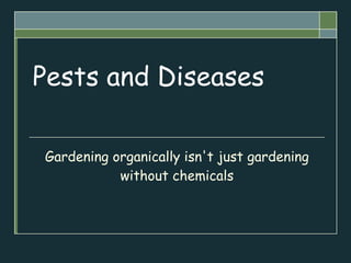 Pests and Diseases Gardening organically isn't just gardening without chemicals 