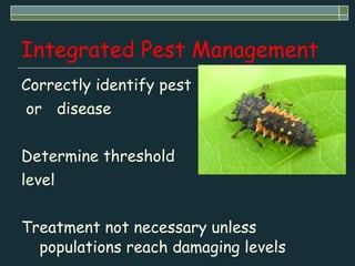 Pests and diseases | PPT