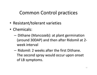 Common Control practices
• Resistant/tolerant varieties
• Chemicals:
– Dithane (Mancozeb): at plant germination
(around 30DAP) and then after Ridomil at 2-
week interval
– Ridomil: 2 weeks after the first Dithane.
The second spray would occur upon onset
of LB symptoms.
12
 