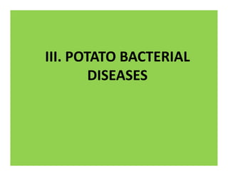 III. POTATO BACTERIAL
DISEASES
 