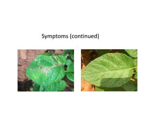 Symptoms (continued)
 