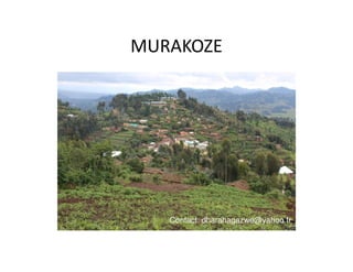 MURAKOZE
Contact: dharahagazwe@yahoo.fr
 