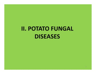 II. POTATO FUNGAL
DISEASES
6
 
