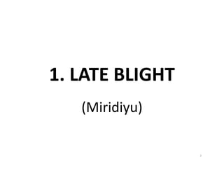 1. LATE BLIGHT
(Miridiyu)
7
 
