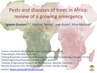 Pests and diseases of trees in Africa:
review of a growing emergency
Ignazio Graziosi1,2,3, Mathias Tembo4, Jean Kuate5, Alice Muchugi6
Contact: ignazio.graziosi@fulbrightmail.org
1Former consultant, World Agroforestry Centre, Nairobi, Kenya
2Entomologist, Polo GGB, Terni, Italy
3Visiting Researcher, University of Kentucky, Department of Entomology, Lexington KY, USA
4Zambia Agriculture Research Institute, Lusaka, Zambia
5Institute of Agricultural Research for Development, Yaoundé, Cameroon
6Genetic Resources Unit, World Agroforestry Centre, Nairobi, Kenya
 