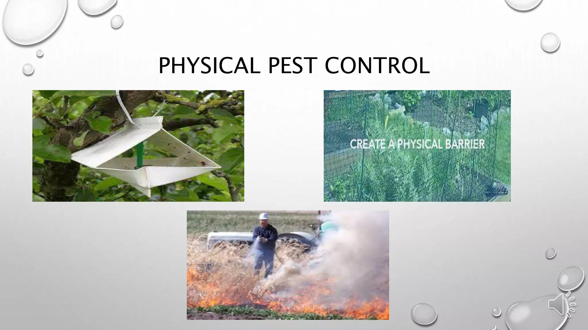 PHYSICAL PEST CONTROL
 