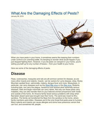 What Are the Damaging Effects of Pests?
January 06, 2016
When you have pests in your home, it sometimes seems like keeping their numbers
under control is an unending battle. It's tempting to wonder what would happen if you
just stopped fighting them. However, if you let pests run rampant in your home, you're
setting yourself up for any number of losses— from your health to your home.
Here are some of the damaging effects of pests.
Disease
Fleas, cockroaches, mosquitos and rats are all common carriers for disease, as are
many other insects and rodents. Insects can be vectors for Lyme disease, strep, Rocky
Mountain spotted fever, salmonella, malaria, dengue fever and more. Mosquitoes, in
particular, can carry diseases such as the West Nile virus or the Zika virus. Rodents,
including bats, can carry the plague, hantavirus and several other extremely serious
diseases. Rats and larger mammals can carry rabies. Not only can these pests carry
maladies, they can also transfer them to your beloved animal companions both inside
and outside of the home. An Arizona family faced serious problems with strep when
flea-laden desert sand was brought near their home. The sand was meant to fill a
sandbox. The family cat transferred the fleas from the sandbox to the home, where
family members were bitten. Diseases are'nt the only threat that pests pose to humans.
Many rodents and insects can cause allergies and some have poisonous venom that
can hurt, and sometimes kill, people.
 