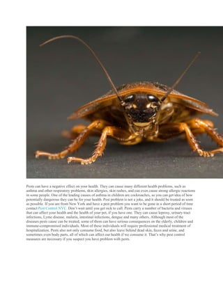 Cockroach Cause Skin Rash PESTS AND RODENTS.docx