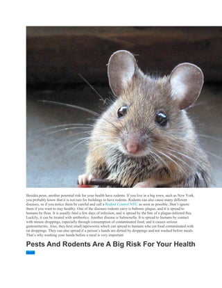 PESTS AND RODENTS.docx