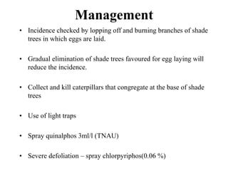 Pests of Cardamom.ppt