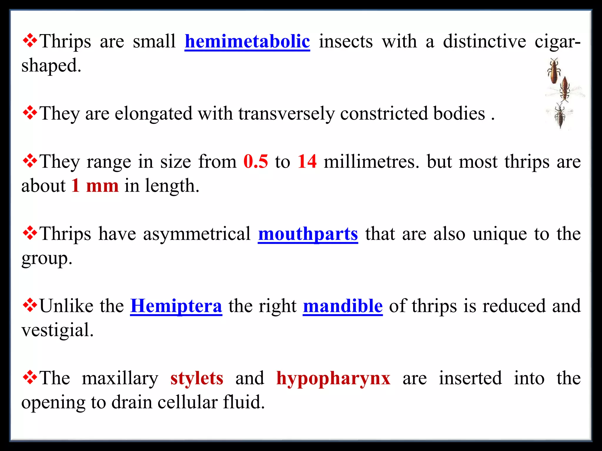 Asymmetrical Insect Pests of cotton and their management | PPTX