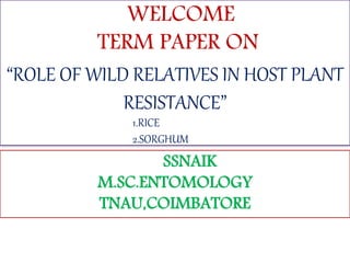 WELCOME 
TERM PAPER ON 
“ROLE OF WILD RELATIVES IN HOST PLANT 
RESISTANCE” 
1.RICE 
2.SORGHUM 
SSNAIK 
M.SC.ENTOMOLOGY 
TNAU,COIMBATORE 
 