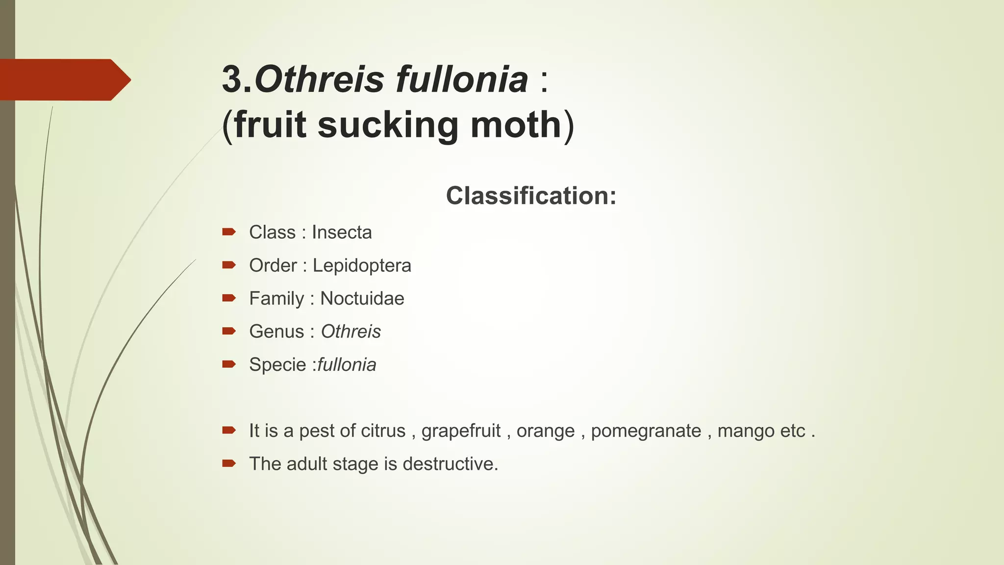 3.Othreis fullonia :
(fruit sucking moth)
Classification:
 Class : Insecta
 Order : Lepidoptera
 Family : Noctuidae
 Genus : Othreis
 Specie :fullonia
 It is a pest of citrus , grapefruit , orange , pomegranate , mango etc .
 The adult stage is destructive.
 