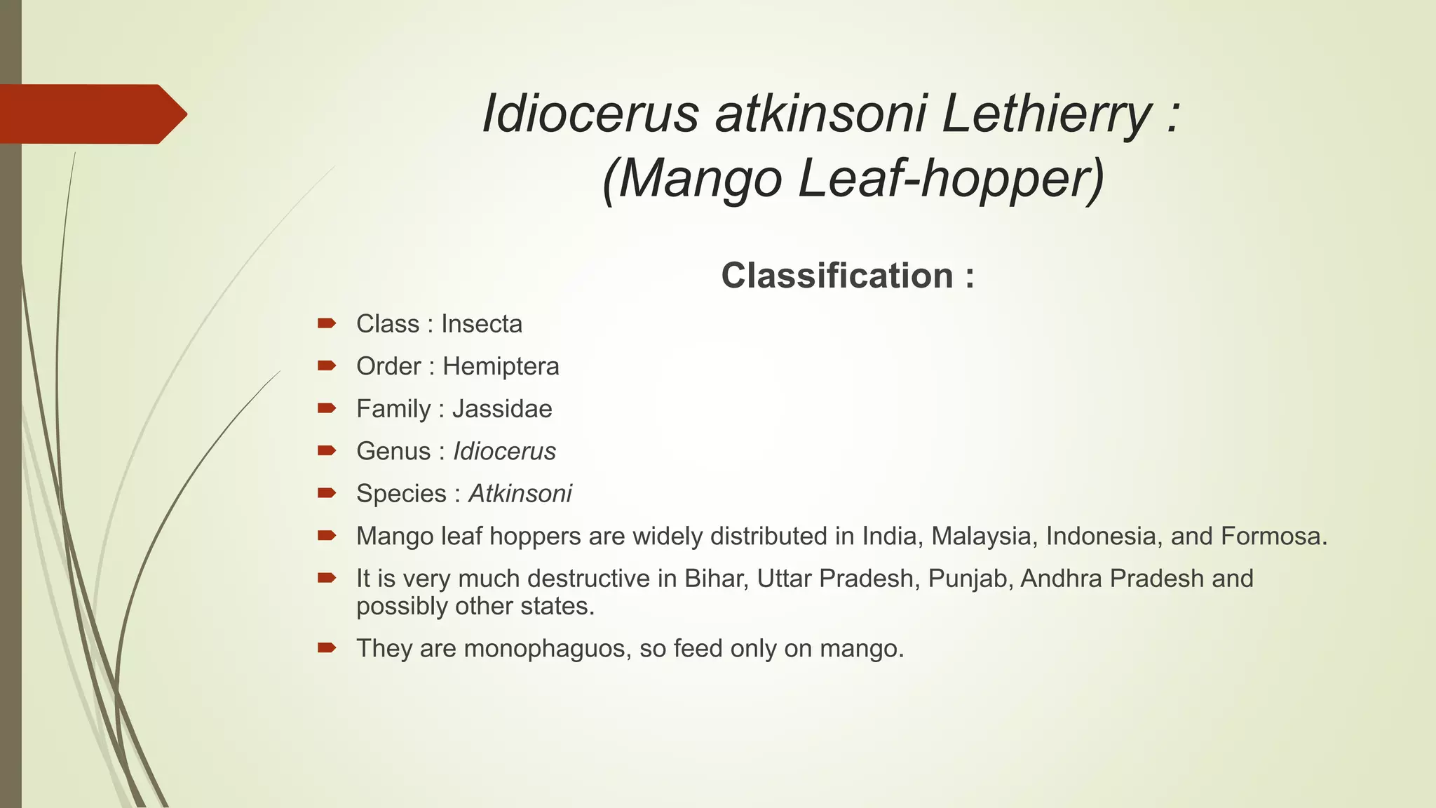 Idiocerus atkinsoni Lethierry :
(Mango Leaf-hopper)
Classification :
 Class : Insecta
 Order : Hemiptera
 Family : Jassidae
 Genus : Idiocerus
 Species : Atkinsoni
 Mango leaf hoppers are widely distributed in India, Malaysia, Indonesia, and Formosa.
 It is very much destructive in Bihar, Uttar Pradesh, Punjab, Andhra Pradesh and
possibly other states.
 They are monophaguos, so feed only on mango.
 