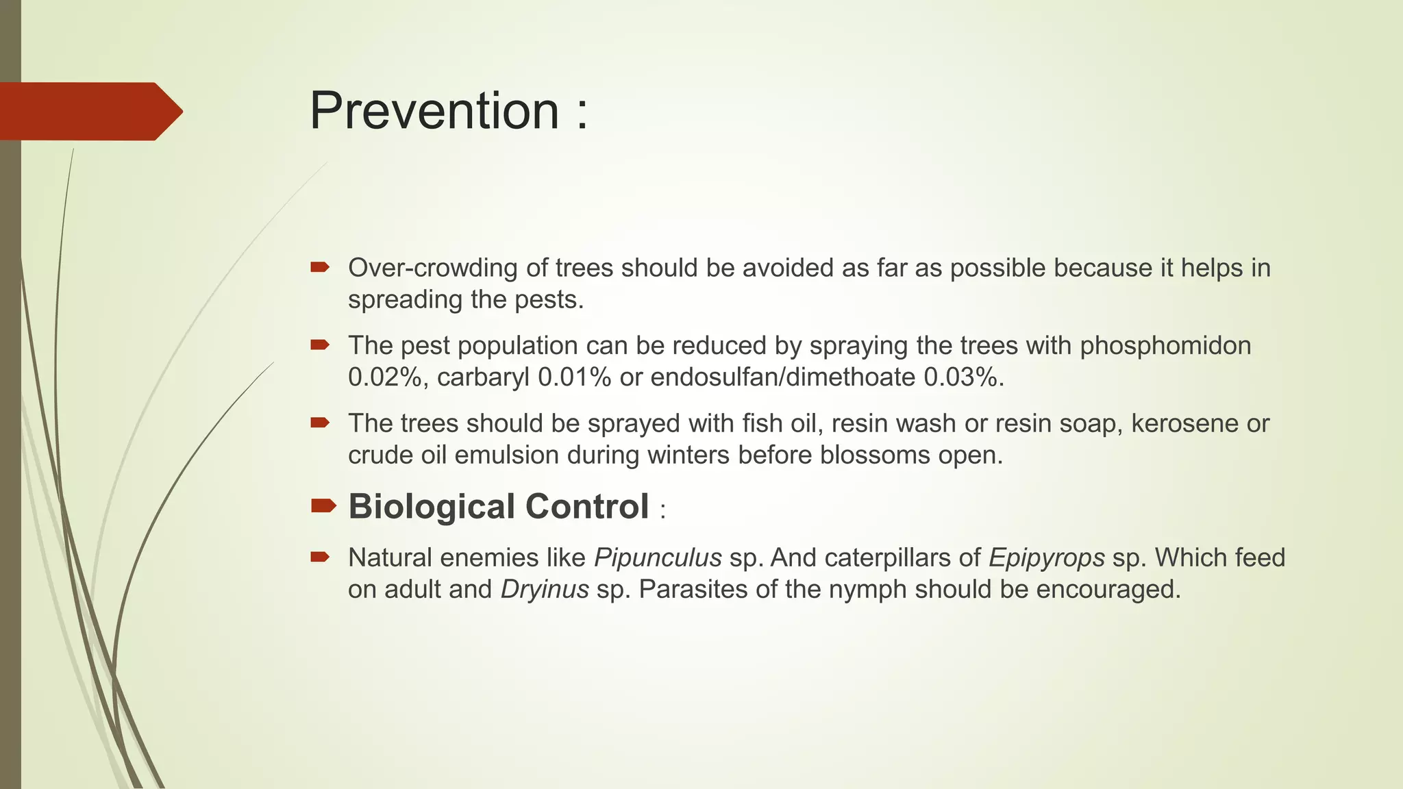 Prevention :
 Over-crowding of trees should be avoided as far as possible because it helps in
spreading the pests.
 The pest population can be reduced by spraying the trees with phosphomidon
0.02%, carbaryl 0.01% or endosulfan/dimethoate 0.03%.
 The trees should be sprayed with fish oil, resin wash or resin soap, kerosene or
crude oil emulsion during winters before blossoms open.
 Biological Control :
 Natural enemies like Pipunculus sp. And caterpillars of Epipyrops sp. Which feed
on adult and Dryinus sp. Parasites of the nymph should be encouraged.
 