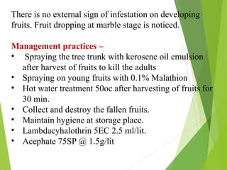 Pests of Mango and Their Management PPT. | PPTX