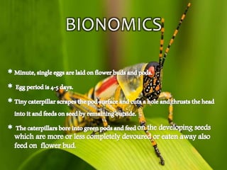 BIONOMICS
 