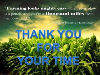 Insect Pests of pulses 