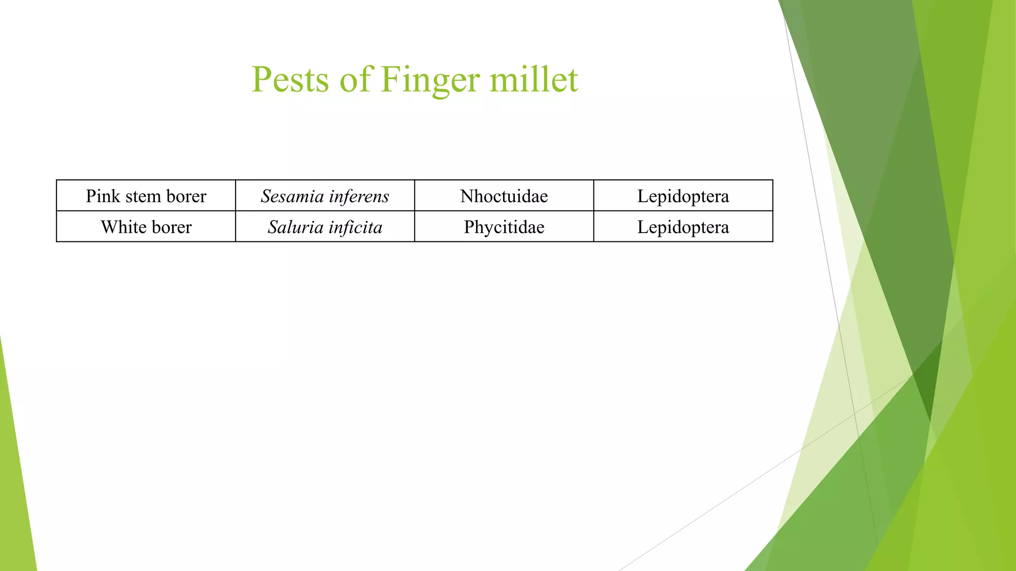 Pests of finger millet and pearl millet