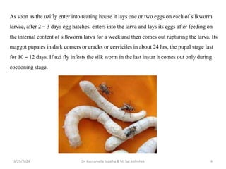 Pests & Predators which harm Silkworm growth PPTX Gardening Home