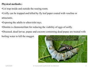 Pests & Predators which harm Silkworm growth | PPTX
