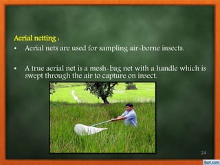 Method Catching Flying Insect Pest surveillence and monitoring satyasri | PPTX
