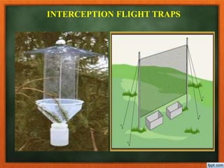 Method Catching Flying Insect Pest surveillence and monitoring satyasri | PPTX
