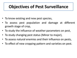 Pest Status Pest Survey and Surveillance.pptx