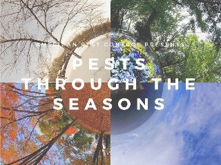 American Pest Control: Pests Through the Seasons