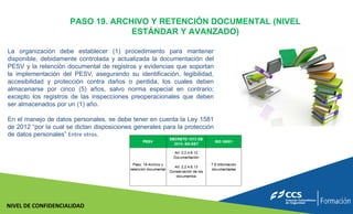 PESV presentacion 2.pdf