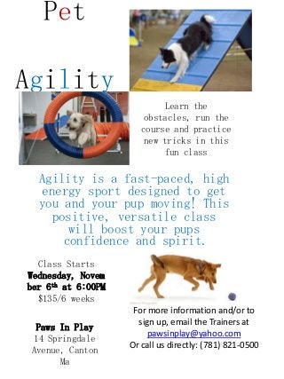 Pet
Agility
Learn the
obstacles, run the
course and practice
new tricks in this
fun class

Agility is a fast-paced, high
energy sport designed to get
you and your pup moving! This
positive, versatile class
will boost your pups
confidence and spirit.
Class Starts
Wednesday, Novem
ber 6th at 6:00PM
$135/6 weeks
Paws In Play
14 Springdale
Avenue, Canton
Ma

For more information and/or to
sign up, email the Trainers at
pawsinplay@yahoo.com
Or call us directly: (781) 821-0500

 
