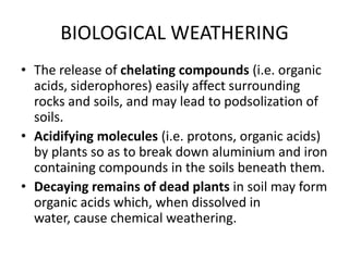 Chelation Rocks Petrology | PPTX