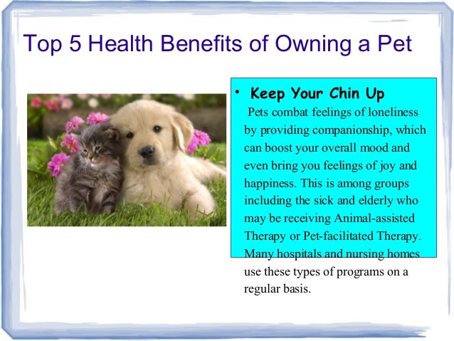 Pet therapy ppt