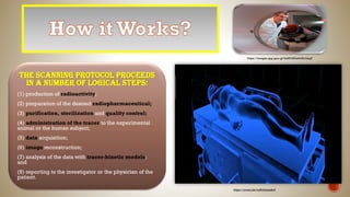 The scanning protocol proceeds
in a number of logical steps:
(1) production of radioactivity;
(2) preparation of the desired radiopharmaceutical;
(3) purification, sterilization and quality control;
(4) administration of the tracer to the experimental
animal or the human subject;
(5) data acquisition;
(6) image reconstruction;
(7) analysis of the data with tracer-kinetic models;
and
(8) reporting to the investigator or the physician of the
patient.
https://images.app.goo.gl/hnEFrHGe6cHz1Lzq6
https://youtu.be/oySvkmezdo0
 