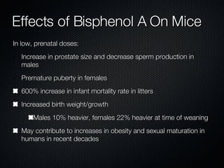 Effects of Bisphenol A On Mice In low, prenatal doses: Increase in prostate size and decrease sperm production in males Premature puberty in females 600% increase in infant mortality rate in litters Increased birth weight/growth Males 10% heavier, females 22% heavier at time of weaning May contribute to increases in obesity and sexual maturation in humans in recent decades 
