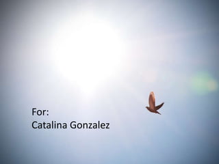 For:
Catalina Gonzalez